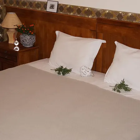 Ξενοδοχείο Boutique Troy Sveti Vlas